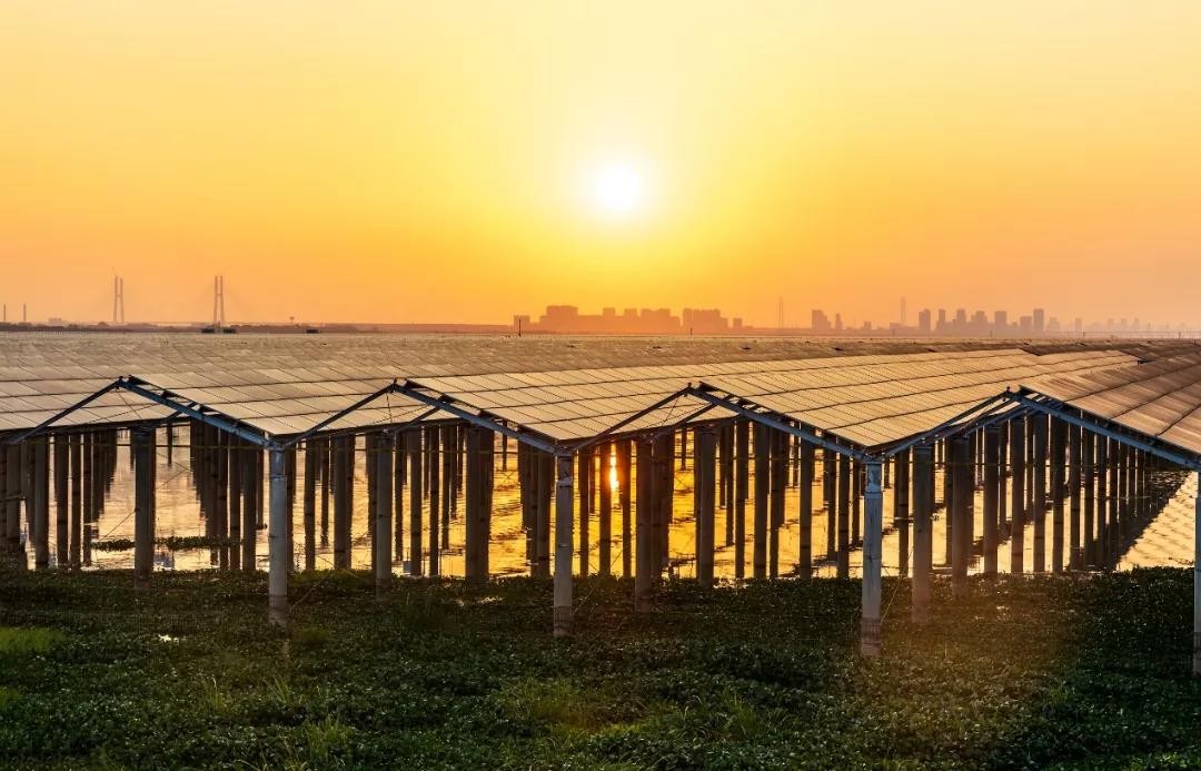 Beyond Success - www.LEHU.com Achieved a Preferred Scale of 1120 MW in Jiangxi